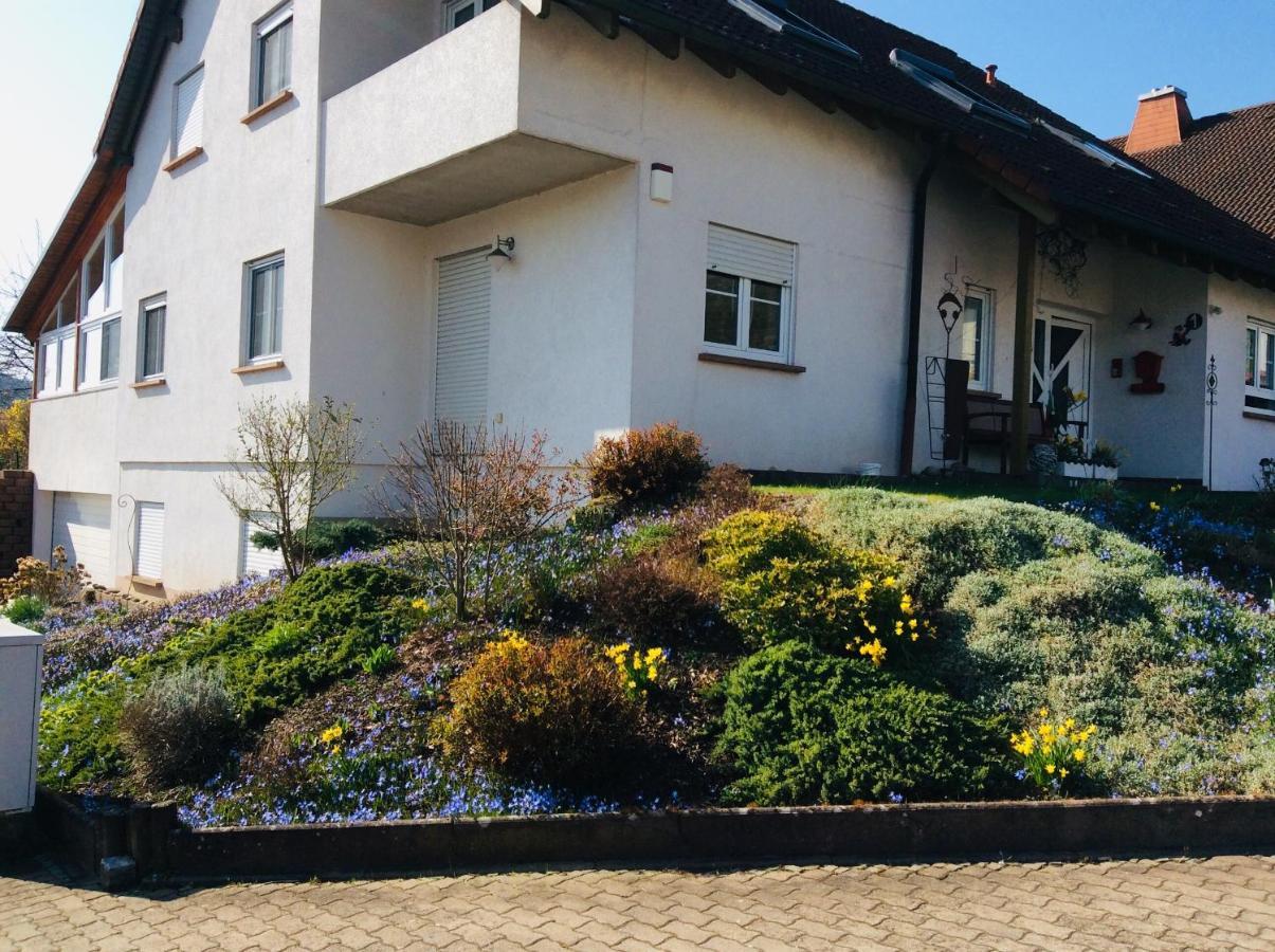 Fernblick Leilighet Zweibrücken Eksteriør bilde